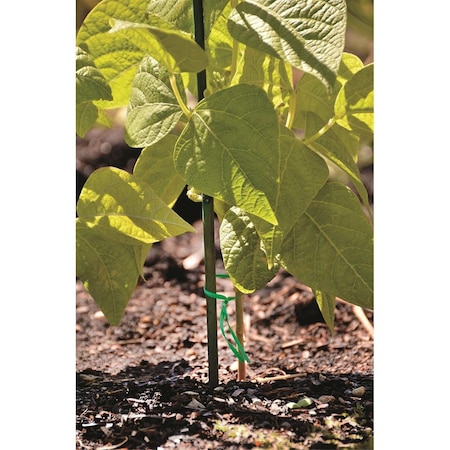 Bond First-Cut Green-Dyed Bamboo, PK6 4-40HD